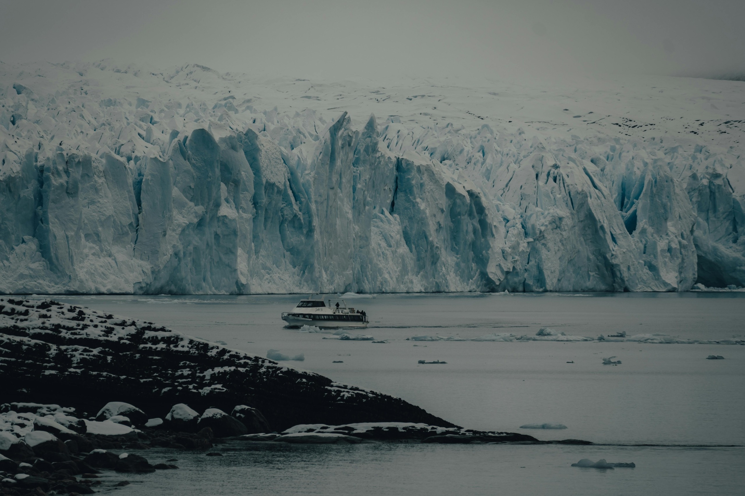 pexels-gasparzaldo-13451794