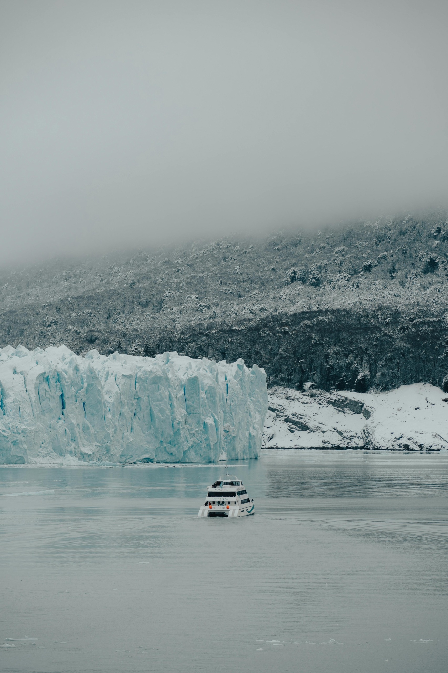 Explore Antarctica Through Curated Luxury Expeditions