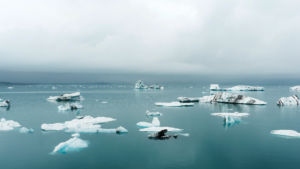 Explore Antarctica: A Luxury Guide to Experiential Antarctic Expeditions