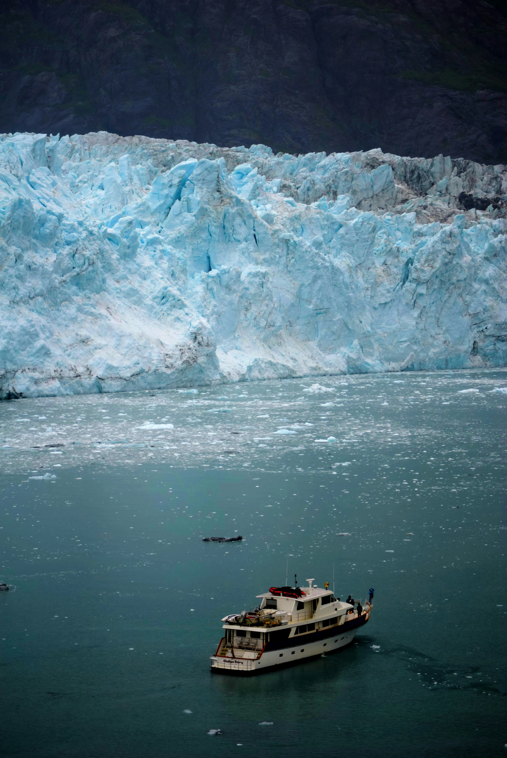 Luxury Travel Expeditions The Future of Experiential Polar and Global Exploration